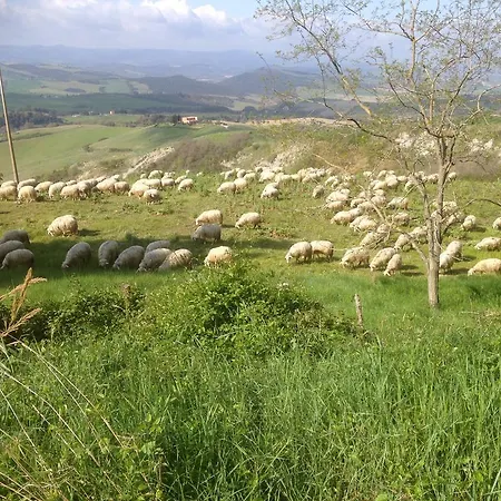 In Canto Sul Poggio Bed & Breakfast *