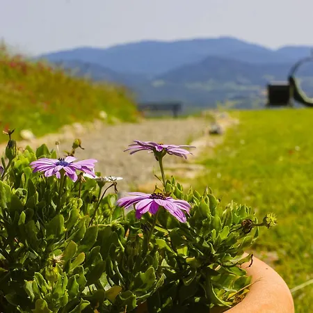 In Canto Sul Poggio Volterra